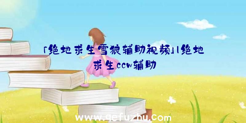 「绝地求生雪狼辅助视频」|绝地求生ccw辅助